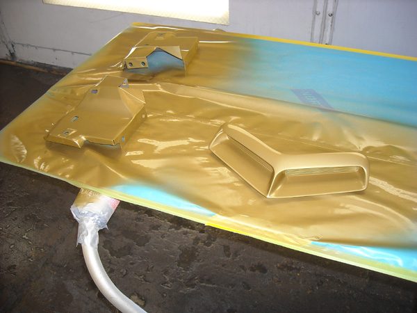 extensions_and_hood_scoop_tiger_gold